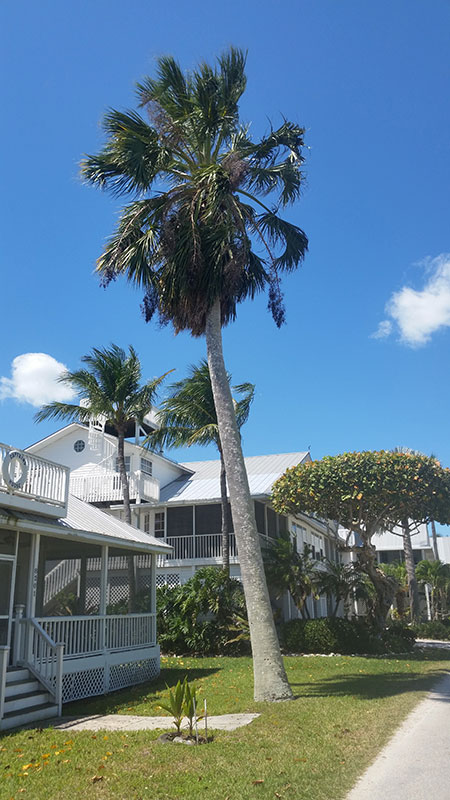 Bokeelia, Florida residential property