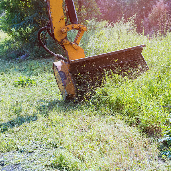 residential land clearing for new construction