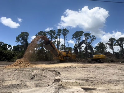 SWFL land clearing